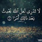 صالح الأحمد