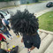 trvpstarr.dj