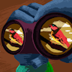 Felipe Cabral barcelos