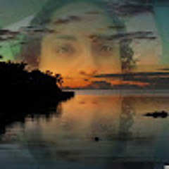 User 619972774