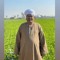 الحاج ناصر