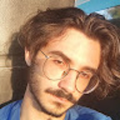 Henrique Sanches