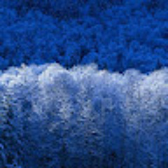 juan p palomino lopez