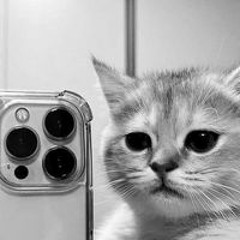 Ayaơicứuanh Anhsắphẹorồi