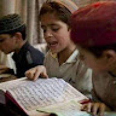 ولاء يحيىٰ