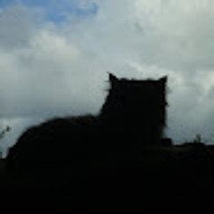 Kateřina Neuvirtová