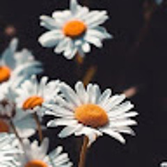 Sundus