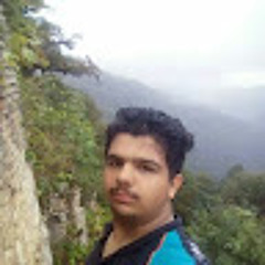 porya tomane