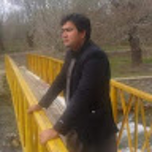 Mohammad yaqoob Alokozay’s avatar