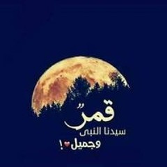Ahmed W Mohamed