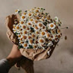 Diễm My Trần Thị