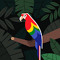 aanchal -