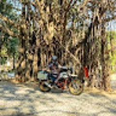 THE_TRIBELESS TRAVELLER