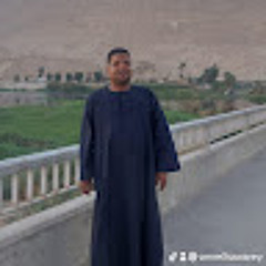 Amr Elhawarey