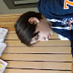 Theodor 366TOGR