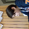 Theodor 366TOGR