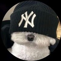 Wlnd