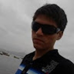 rodrigo vis cavieres