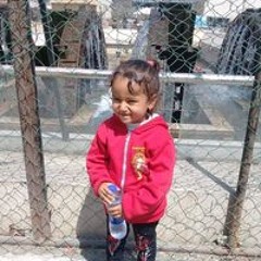 ياسر الجارحى