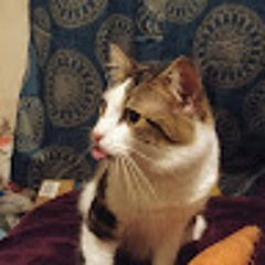 Kit
