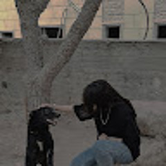 DAREEN Amro