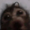 GooberTheFool