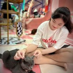 Lâm Quyến
