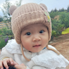 Vinh Hoang