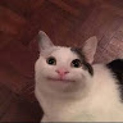 yo