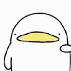 김정안