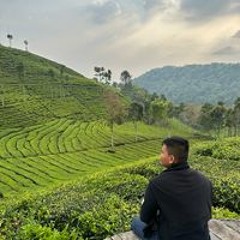 Aditya Hardiyanto
