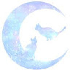 MARO (maro_マロ)