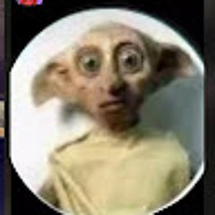 lloyd201