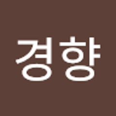 김경향