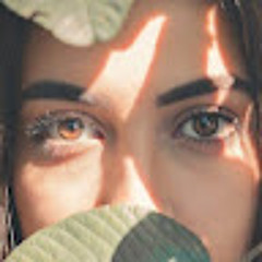 Hadeer Alshekh