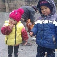 Đinh Đinh Văn Thuần