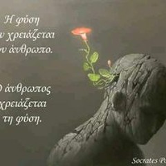 مصباح الزيتونه