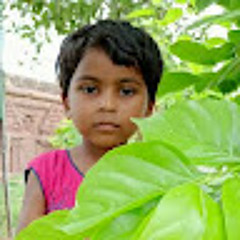 P chandu Chandramohan