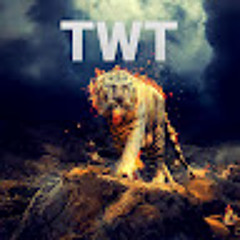 TWT GAMING
