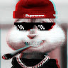 оплодотворенный барсук