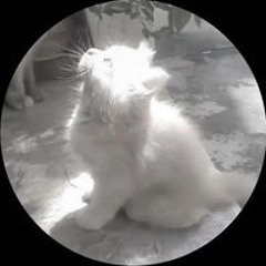 VPhúc Vương