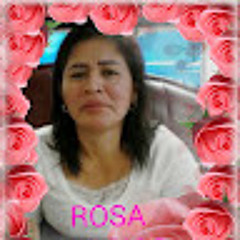 Rosa Elsy