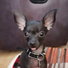 Anthony