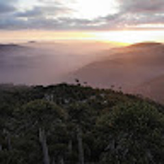 Emerson Saldias Torres