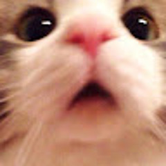 Adi Kun