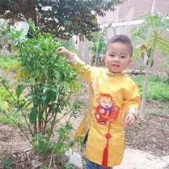 Trần Ba Đía
