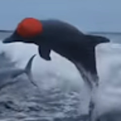 PringleSlayer Jonathan