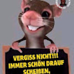 Michael VoLLmER