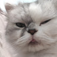 i ❤ infamous swoosh