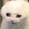 User 648404631
